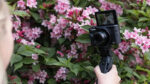 PowerShot G7 X Mark III - Image 10